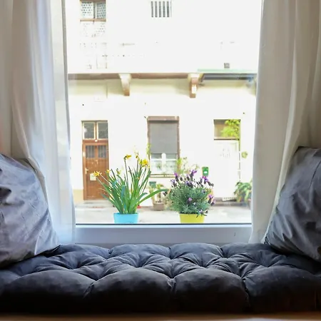 Mooki Rumbach Budapest