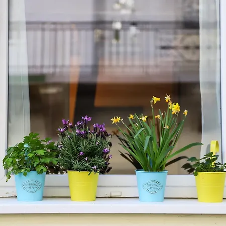 Mooki Rumbach Appartement Budapest