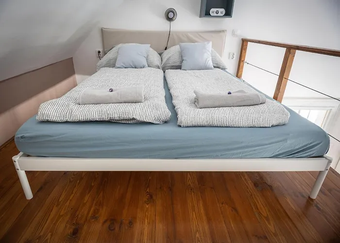 Mooki Rumbach Budapesta