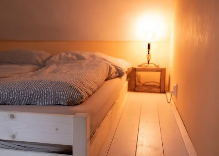 Mooki Rumbach Budapesta