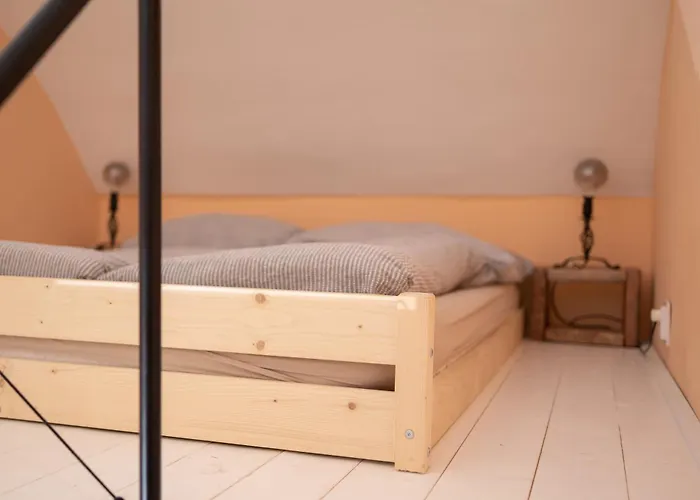 Mooki Rumbach Budapesta