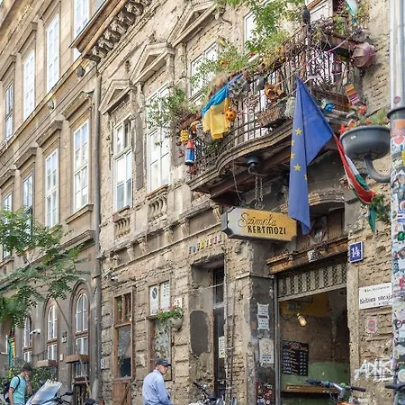 Mooki Rumbach בודפשט